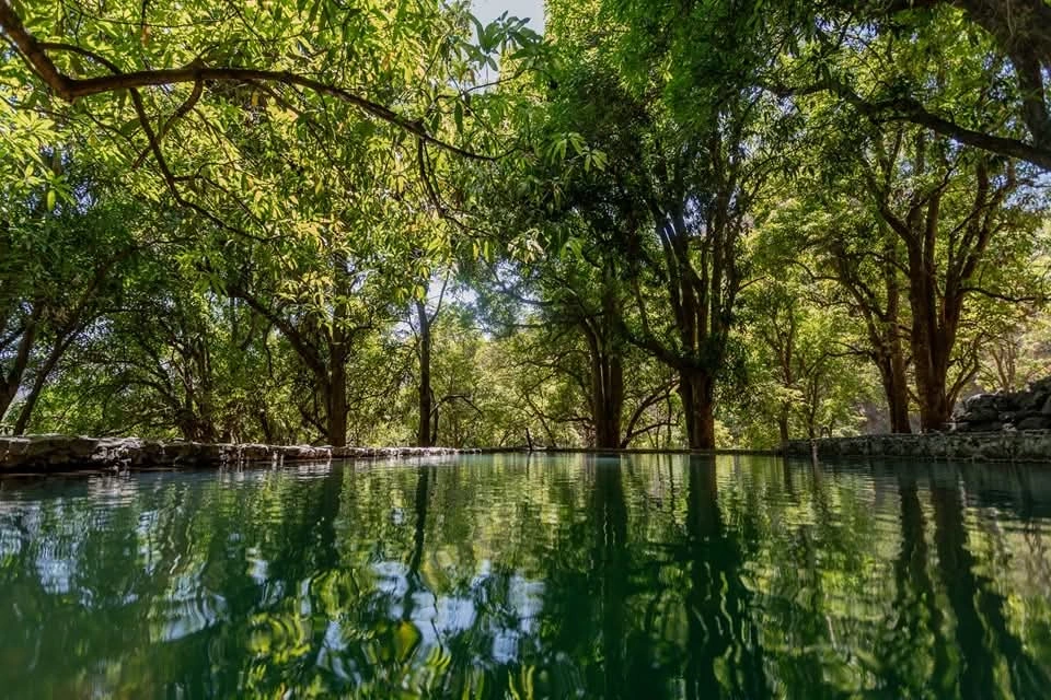 Hiolotlan, Jalisco